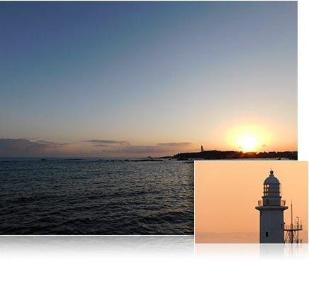 40x optical zoom, 80x Dynamic Fine Zoom